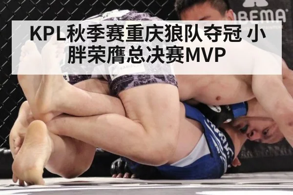 KPL秋季赛重庆狼队夺冠 小胖荣膺总决赛MVP